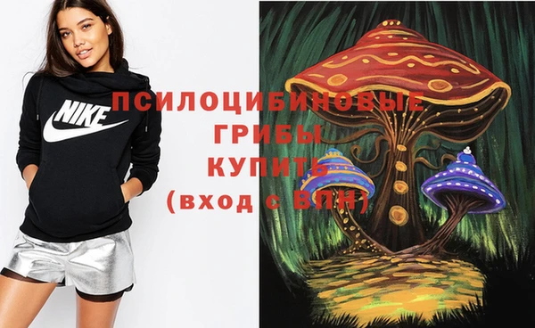 синтетический гашиш Алексеевка