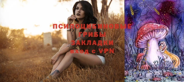 героин Алзамай