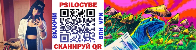 где купить   Ливны  Галлюциногенные грибы Cubensis 